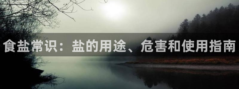 威九国际APP