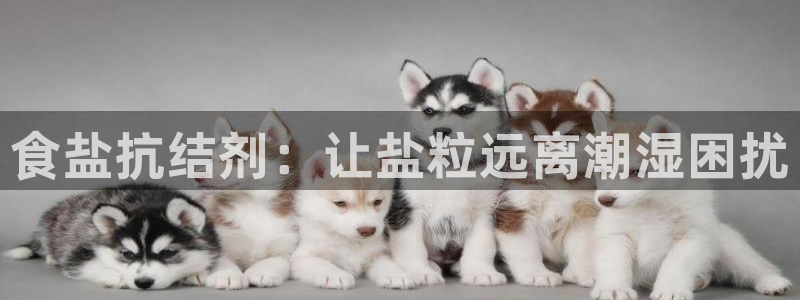 威九国际官网登录入口网址