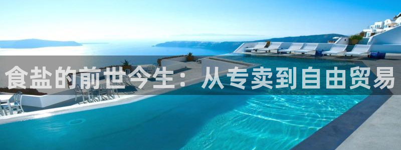 威九国际ppt免费下载