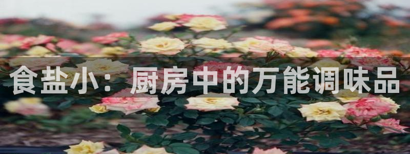 78mppt威九国际