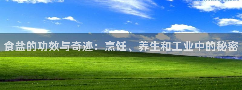 威九国际网站入口官网游戏推荐