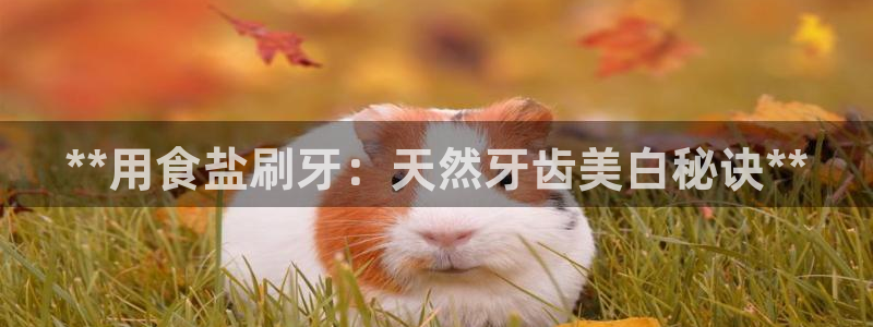 78mppt威九国际