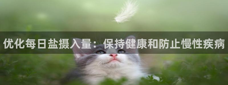 威九国际APP那个地方