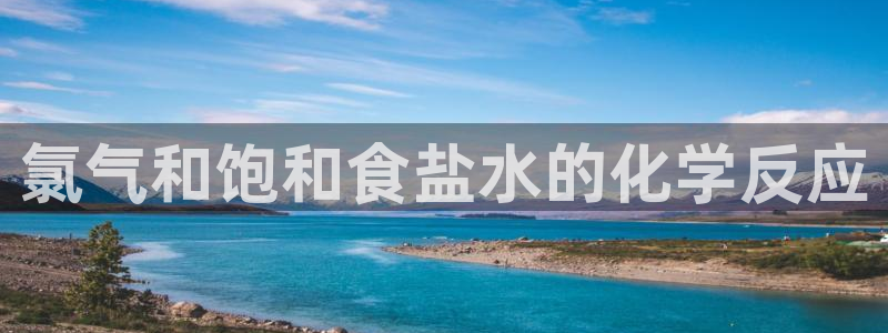 威九国际电子有限公司