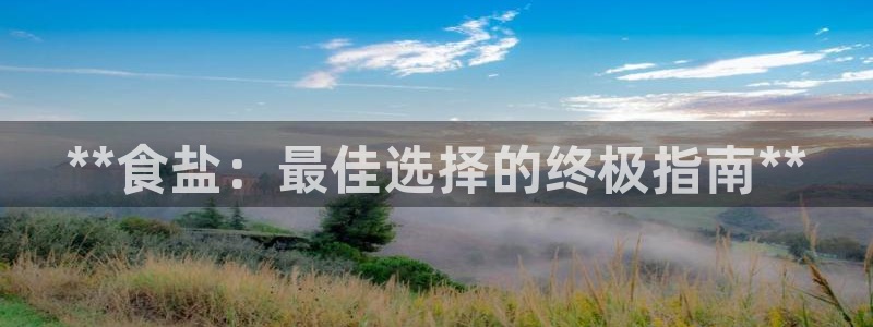 威九国际网站入口地址查询