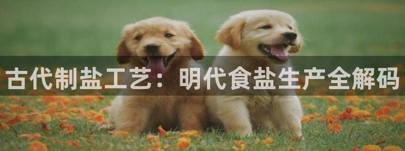 66m威九国际成长模式
