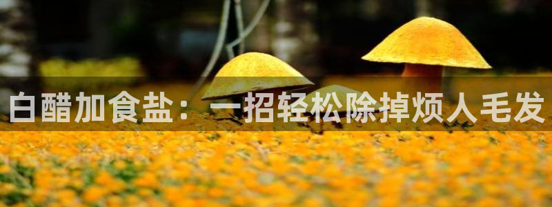 78mapp威九国际官网