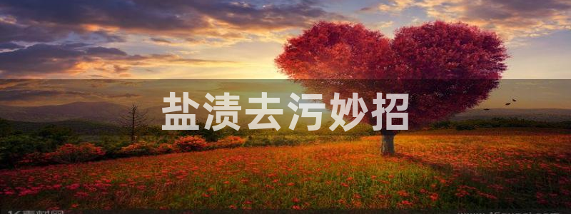 保定威九网络科技有限公司