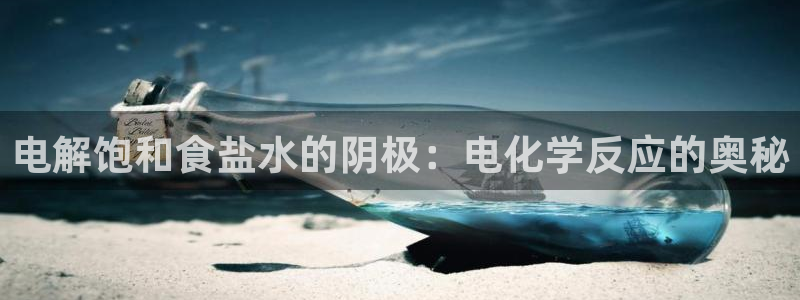 威九国际