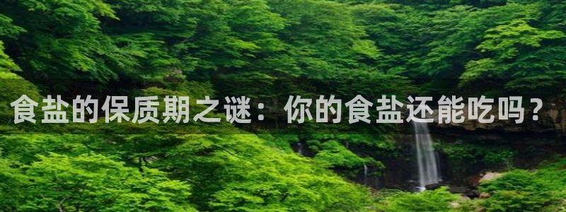 威九国际电子有限公司