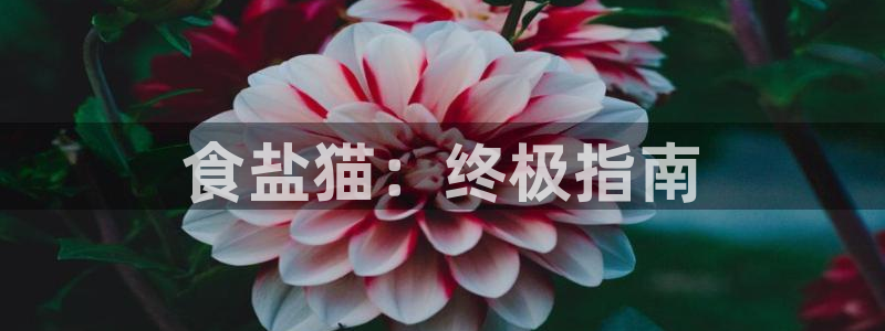 威九国际66m-66