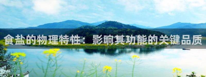 保定威九网络科技有限公司怎么样