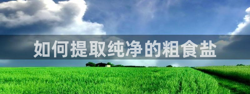 威九国际v8