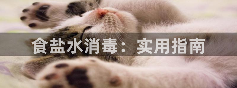 威九国际软件公司简介