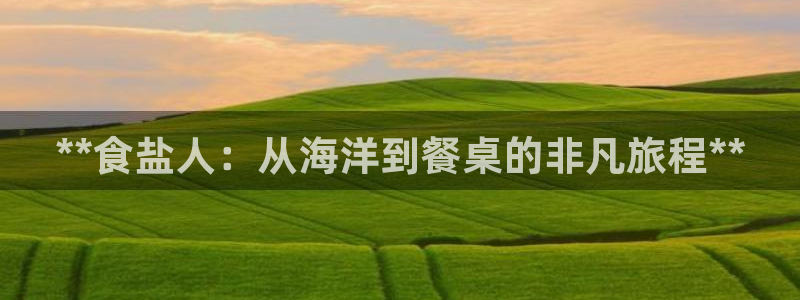 威九国际FT