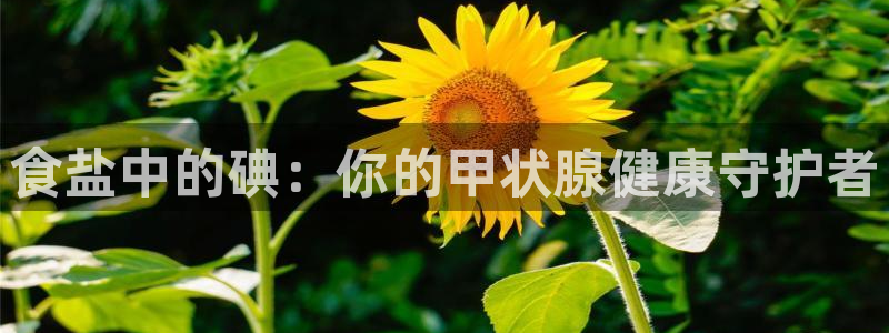 威九国际网站下载