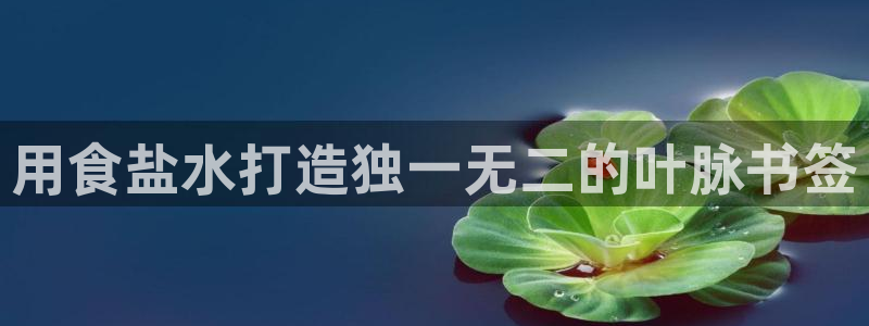 威九国际78mapp官网版下载