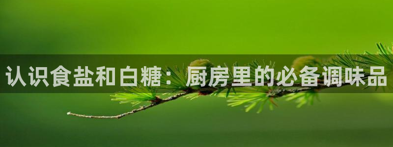 78mapp威九国际网页版