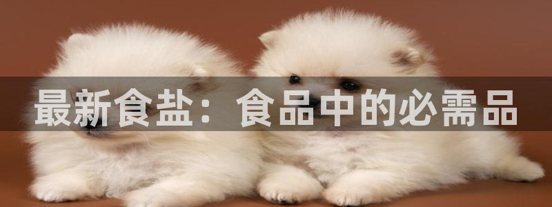 威九国际游戏app网址