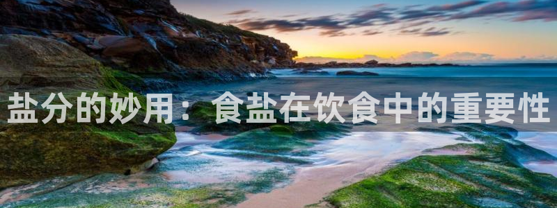 威九国际最受欢迎的功能