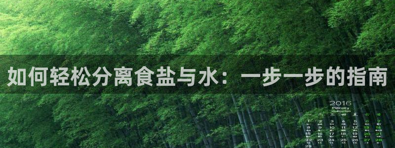 威九国际78