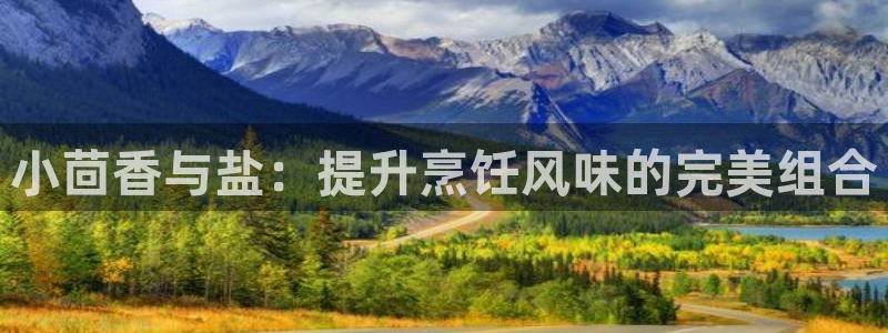 威九国际网站客服电话多少号