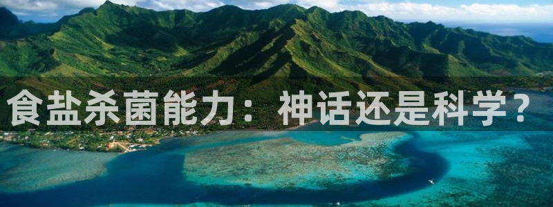 威九国际旗下艺人都有谁