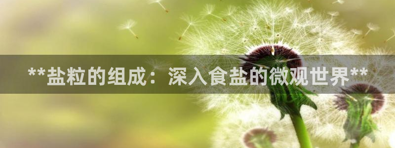 威九国际精选酒店地址
