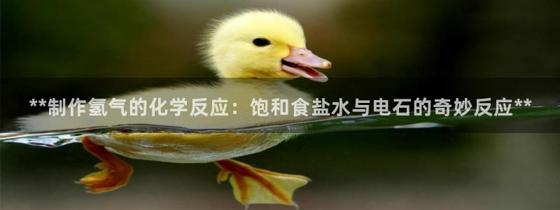 威九国际APP