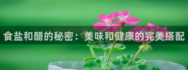 威九国际78mB官网版