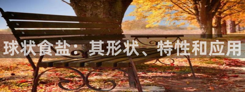 威九国际官网版