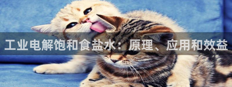 威九国际网站入口地址查询