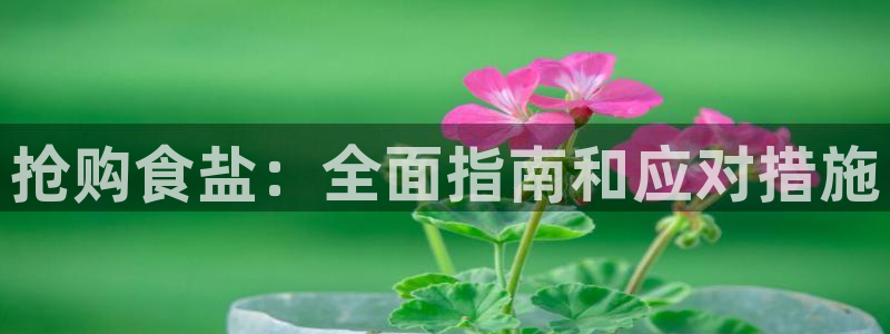 威九国际下载官网app