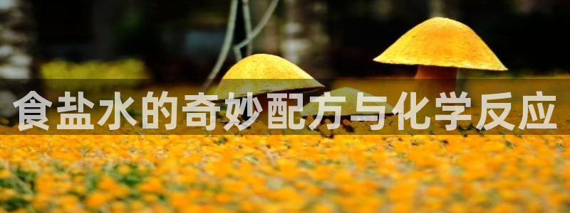 威九国际女明星