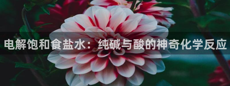 威九国际演员表