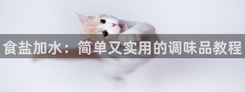 威九国际H