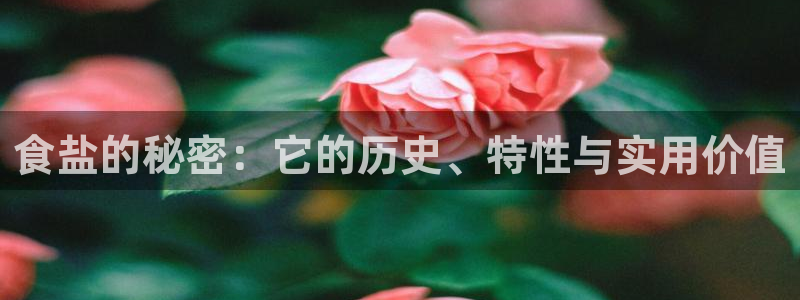 威九国际惠子