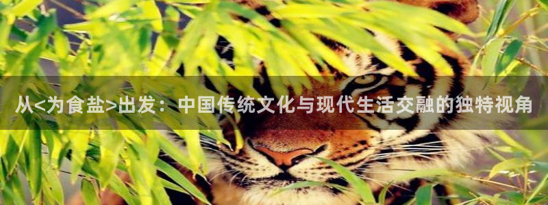 66m威九国际精选