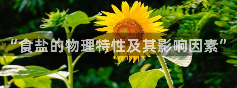威九国际女艺人