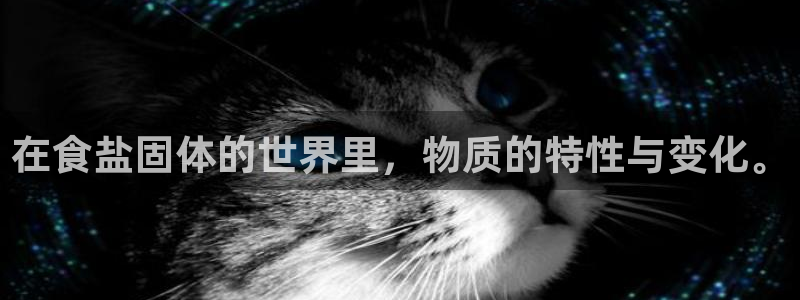 威九国际78mb42- MBA中文