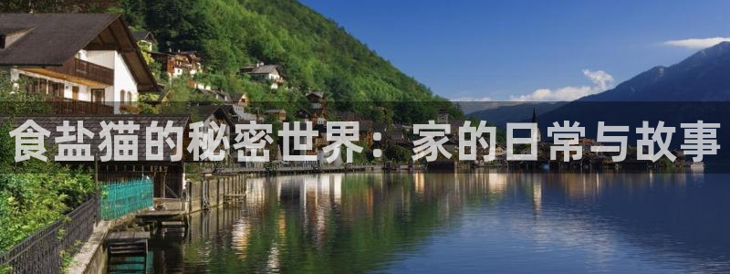 威九国际空降视频