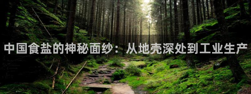 威九国际安全吗