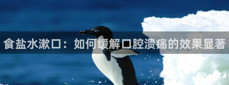 保定威九网络科技有限公司电话