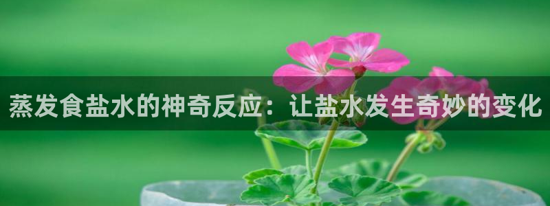 威九国际网站是多少