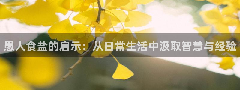 威九国际女孩