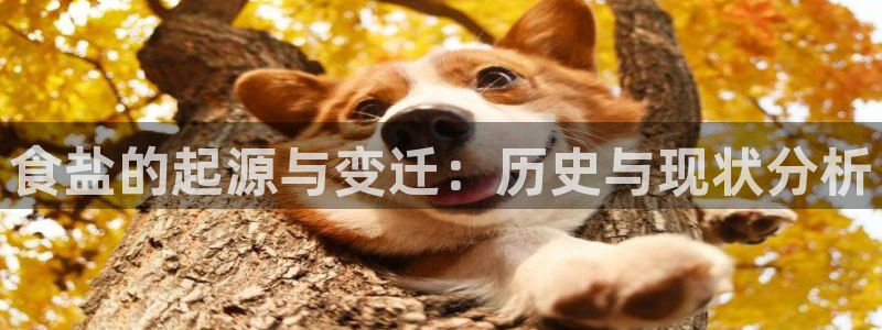78.m威九国际官网版