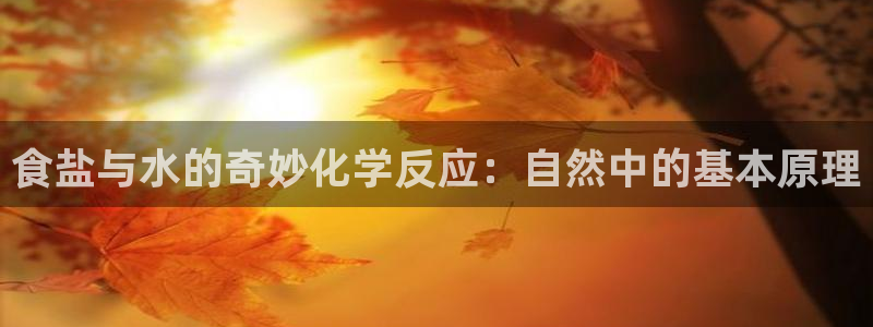 威九国际网站怎么样可靠吗