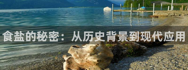 威九国际ppt官网