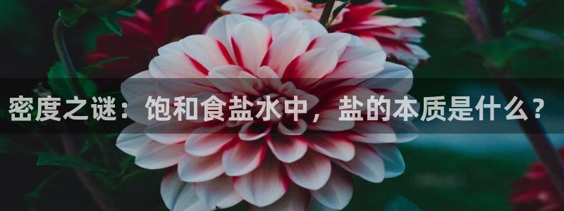 威九国际app下载