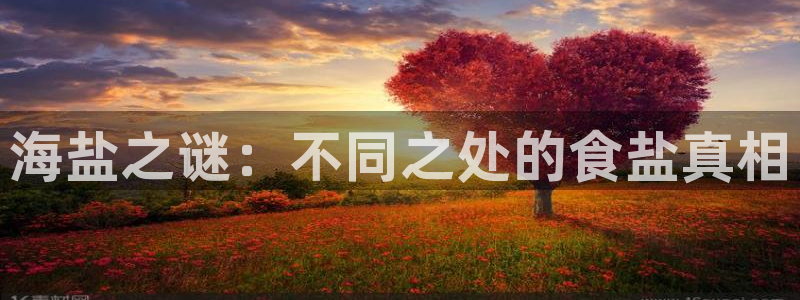 威九国际犯法吗